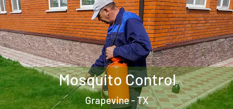  Mosquito Control Grapevine - TX
