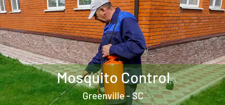  Mosquito Control Greenville - SC