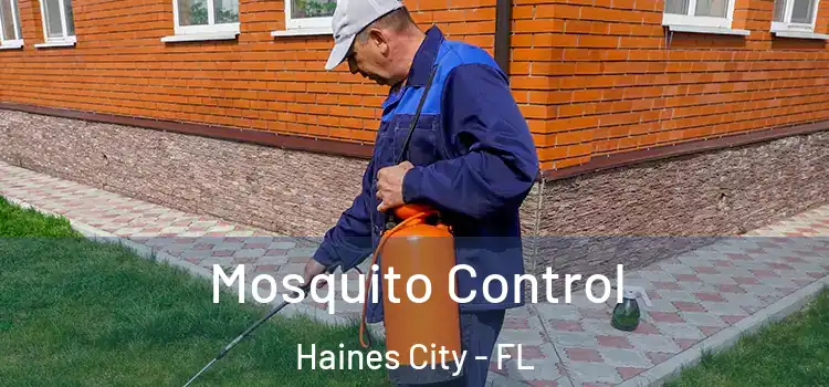 Mosquito Control Haines City - FL
