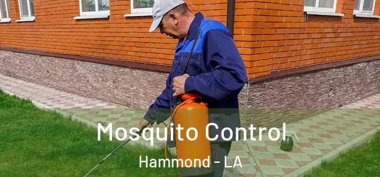 Mosquito Control Hammond - LA