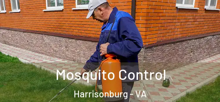  Mosquito Control Harrisonburg - VA