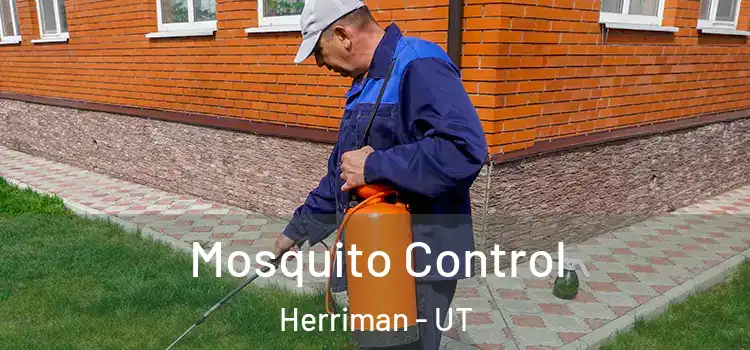  Mosquito Control Herriman - UT