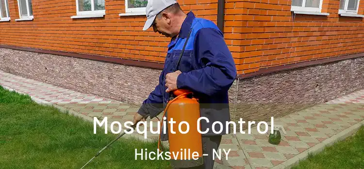  Mosquito Control Hicksville - NY