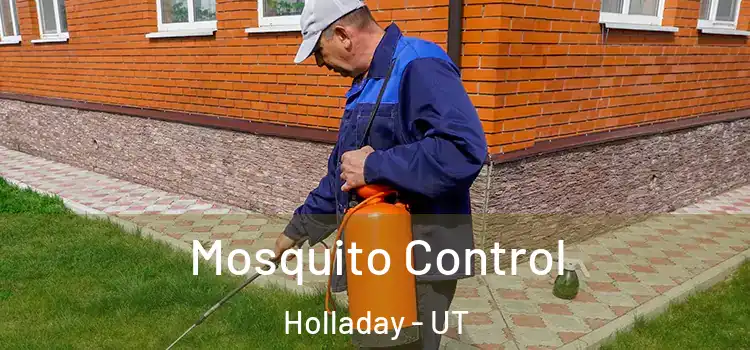  Mosquito Control Holladay - UT