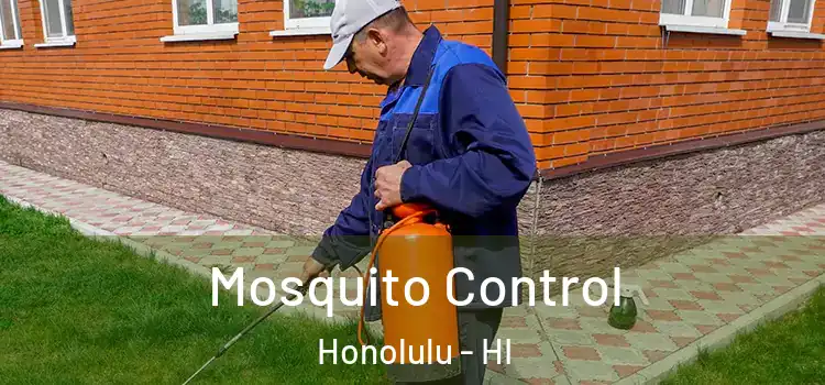  Mosquito Control Honolulu - HI