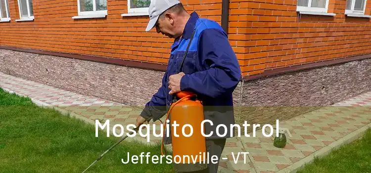  Mosquito Control Jeffersonville - VT