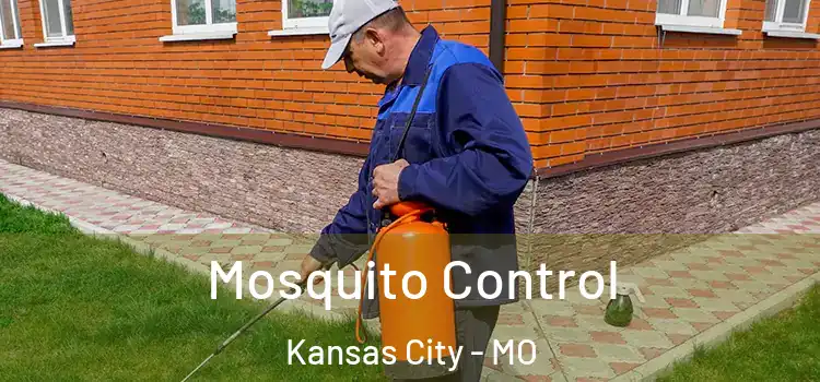  Mosquito Control Kansas City - MO