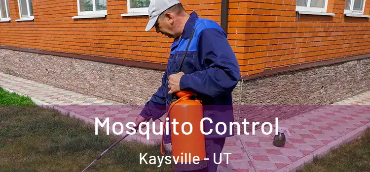  Mosquito Control Kaysville - UT