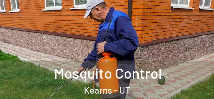  Mosquito Control Kearns - UT