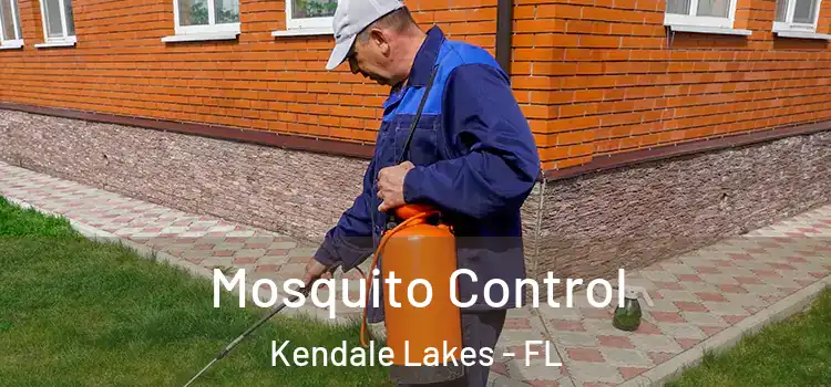 Mosquito Control Kendale Lakes - FL