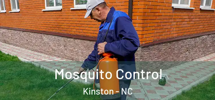 Mosquito Control Kinston - NC