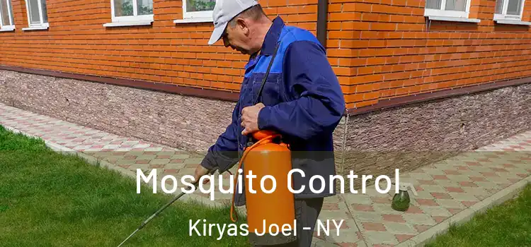  Mosquito Control Kiryas Joel - NY