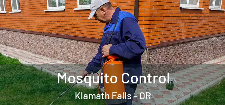 Mosquito Control Klamath Falls - OR