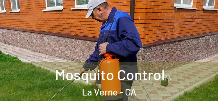  Mosquito Control La Verne - CA