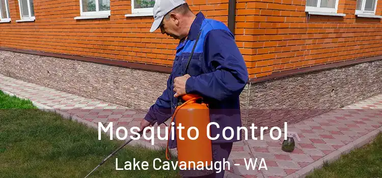  Mosquito Control Lake Cavanaugh - WA
