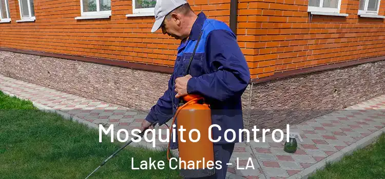 Mosquito Control Lake Charles - LA