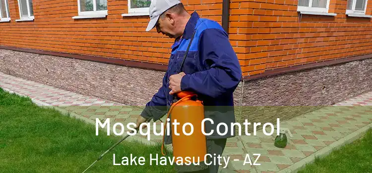  Mosquito Control Lake Havasu City - AZ