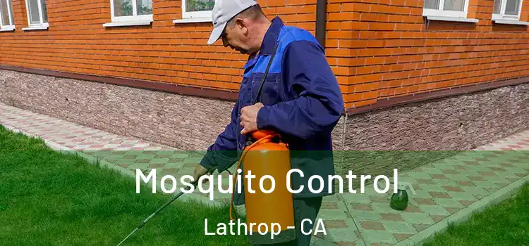  Mosquito Control Lathrop - CA