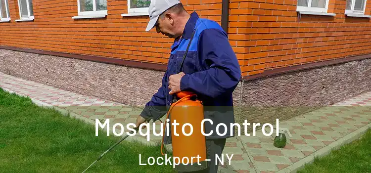 Mosquito Control Lockport - NY