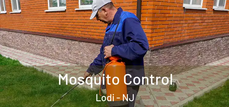  Mosquito Control Lodi - NJ