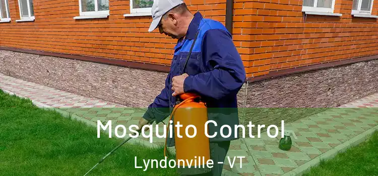  Mosquito Control Lyndonville - VT