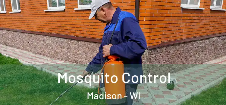 Mosquito Control Madison - WI