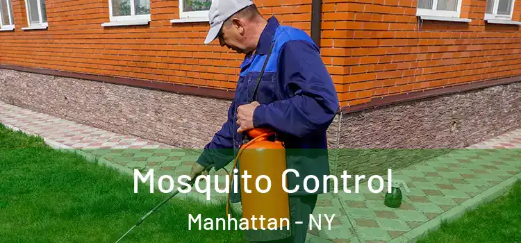  Mosquito Control Manhattan - NY