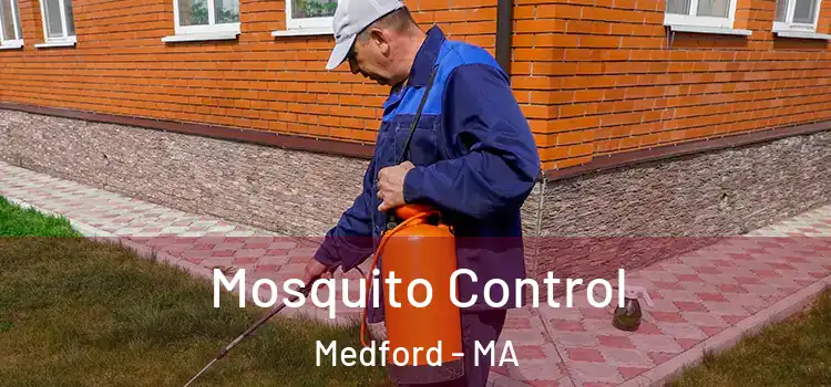 Mosquito Control Medford - MA