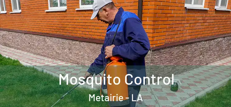  Mosquito Control Metairie - LA