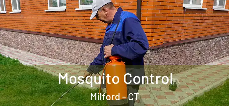 Mosquito Control Milford - CT