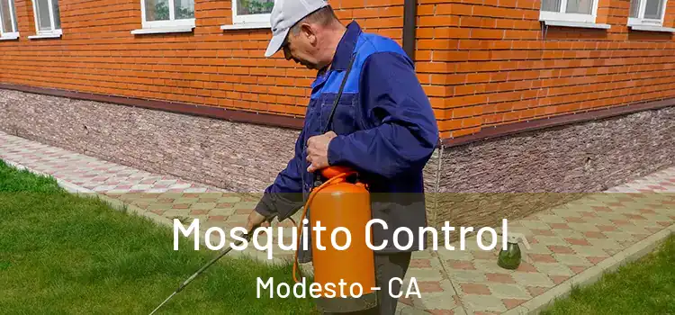  Mosquito Control Modesto - CA
