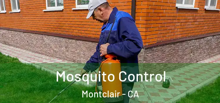 Mosquito Control Montclair - CA