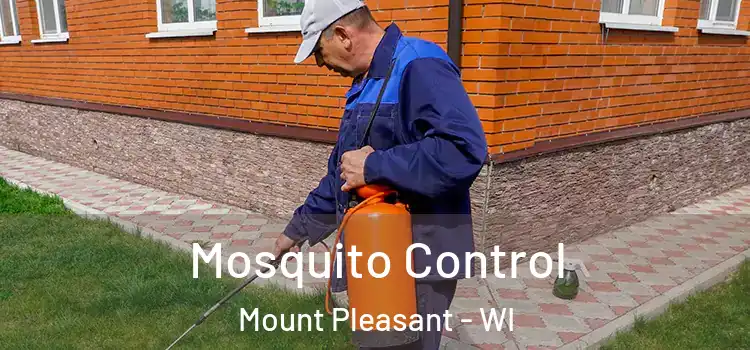  Mosquito Control Mount Pleasant - WI