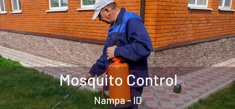Mosquito Control Nampa - ID