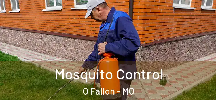  Mosquito Control O Fallon - MO