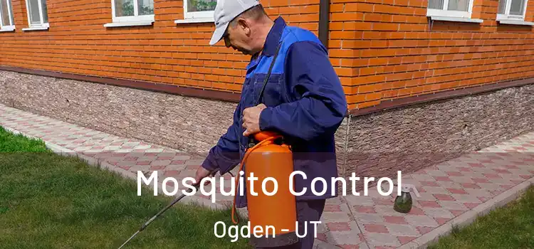  Mosquito Control Ogden - UT