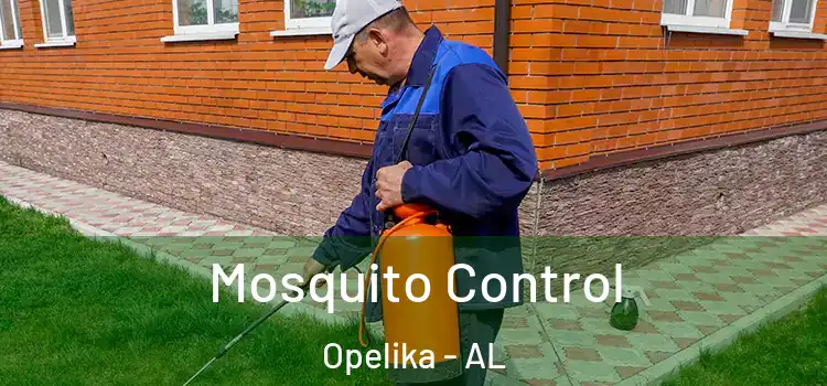  Mosquito Control Opelika - AL
