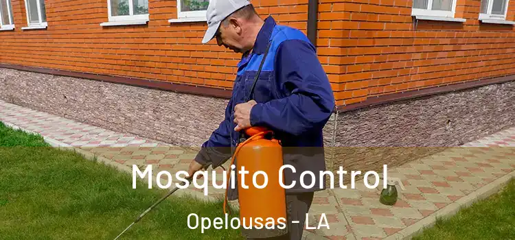 Mosquito Control Opelousas - LA