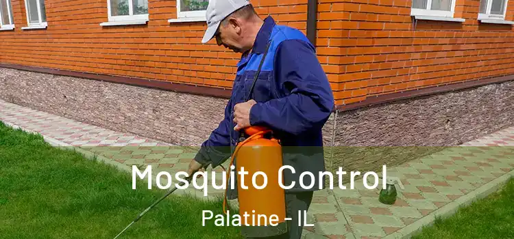  Mosquito Control Palatine - IL