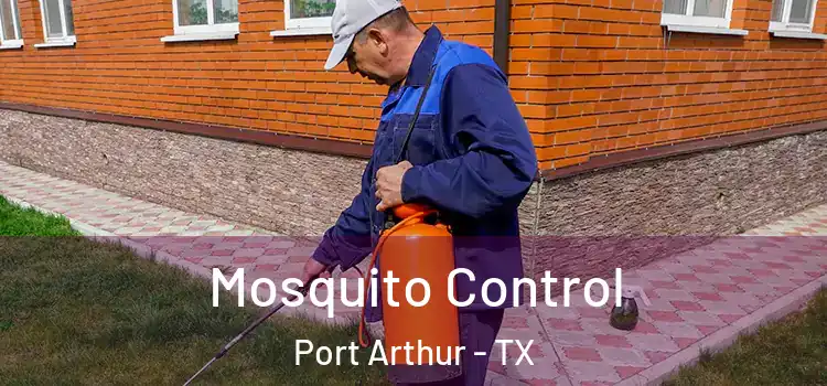 Mosquito Control Port Arthur - TX