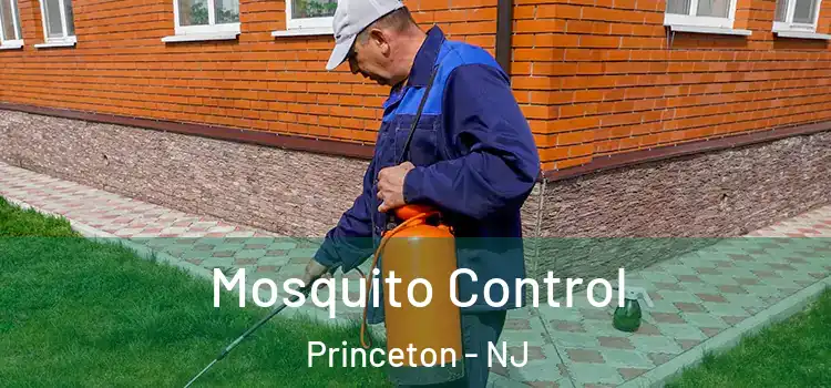  Mosquito Control Princeton - NJ