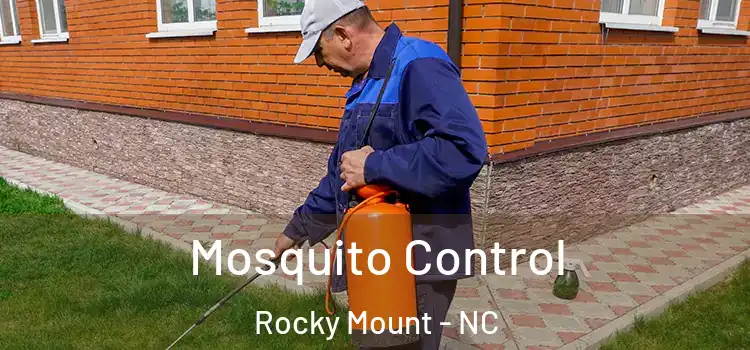 Mosquito Control Rocky Mount - NC
