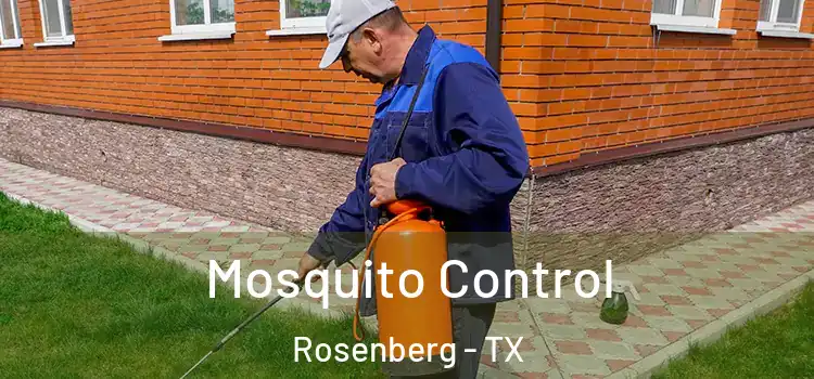  Mosquito Control Rosenberg - TX