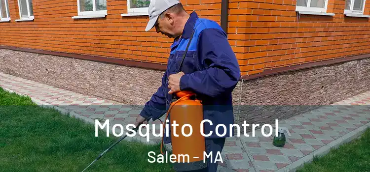  Mosquito Control Salem - MA