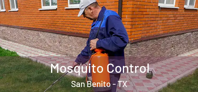 Mosquito Control San Benito - TX