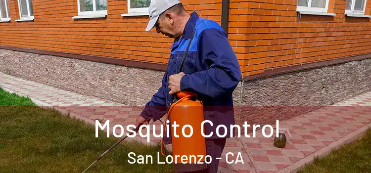 Mosquito Control San Lorenzo - CA