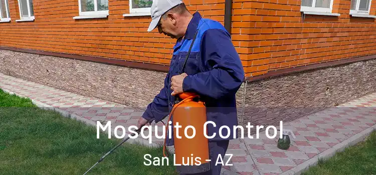 Mosquito Control San Luis - AZ