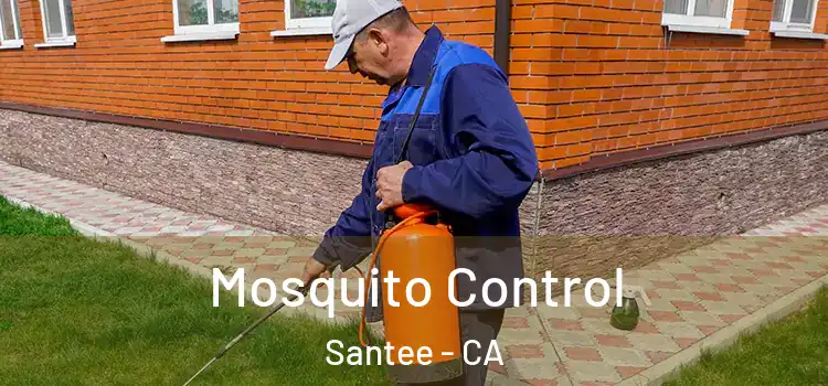  Mosquito Control Santee - CA