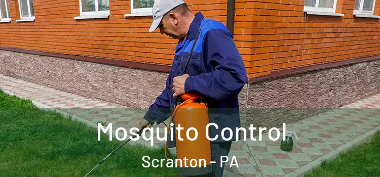  Mosquito Control Scranton - PA