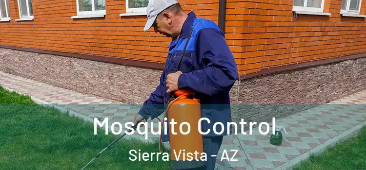 Mosquito Control Sierra Vista - AZ